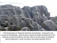 Albums/20060200-New Zealand 2006/20060205-Greymouth_Punakaiki/17